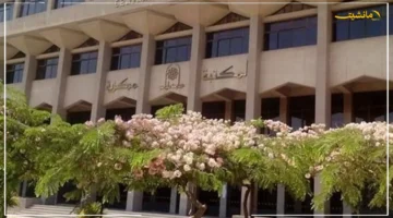 حدث غير مسبوق لطلاب الجامعات.. جامعة حلوان تفتح أبوابها لأكبر هاكاثون للأمن السيبراني في مصر 1